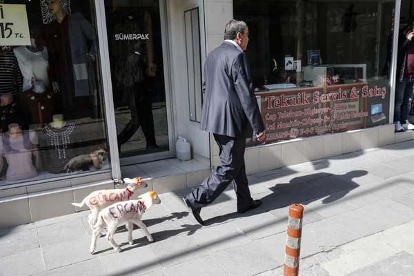 "G�Z�MDE DE�ERLER� �OK Y�KSEK"         G�ng�r, daha �nce bakt��� baz� kuzulara "Ay�e, Fatma, Halime, R�fk�"  isimlerini verdi�ini ve 3-4 ay bak�p b�y�tt�kten sonra sahiplerine teslim  etti�ini belirtti.