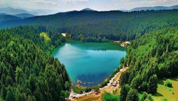 ARTV�N  446.283 ki�i