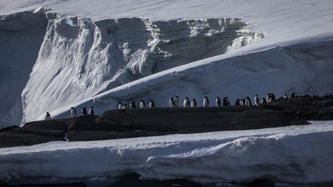 Dnyann en souk ktas olarak nitelendirilen Antarktika`da, sadece bilimsel aratrmalarn yapld slerin faaliyet gstermesine izin veriliyor, ktada 30 lkenin 100`e yakn ss bulunuyor.