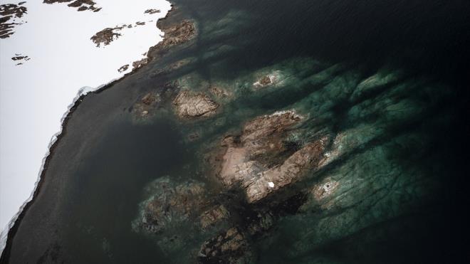 Hibir lkenin ynetimi altnda bulunmayan ve "bilim ve bar ktas" olarak kabul edilen Antarktika, penguenler, foklar, balinalar ve kularn da aralarnda olduu hayvanlara ev sahiplii yapyor.