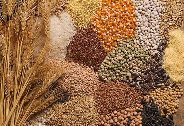 Birok insan, gluten hassasiyeti yznden eitli problemler yaamakta. Bu yzden tam tahllar tketilmelidir.