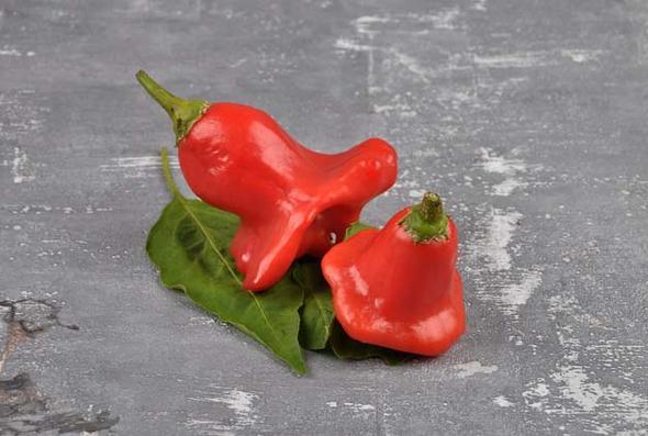 Hayvansal besinlerin etiketinde oval ekilde ve iinde Tarm ve Orman Bakanl tarafndan verilen iletme onay numarasnn bulunduu "tanmlama iareti" aranmal, dier rnler iin ise yine Tarm ve Orman Bakanl tarafndan kayt altna alnan gda iletmelerine verilen "letme Kayt Numaras" (KN) bulunan besinler tercih edilmeli.