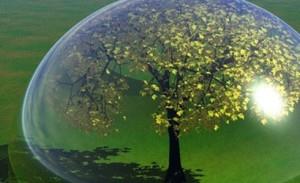 Etkinlie, "www.dunyasaati.org" adresinden kayt yaplabilecek. Ayrca, siteyi ziyaret edenler karlarna kan sembolik stanbul Boaz'ndaki kprlerden bir  kendi adlarna kapatabilecek.