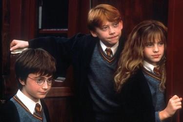 2001: Harry Potter and the Sorcerer?s Stone  7.6