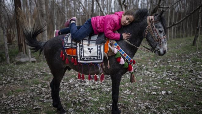 "At tutkusu bizde gelenektir"  Sezair Ertekin, unlar aktard: "At tutkusu bizde genetiktir, babamdan bana benden de ocuklarma kald, byle de devam edeceini dnyorum. Kzm okuldan arta kalan zamanlarda ata biniyor. Sude, saat 07.00`de kalkar, yarm saat kadar atyla oynar, gelir kahvaltsn yapp okuluna gider. Okuldan dndkten sonra da 2 saat kadar atyla oynar. Genellikle de hafta sonlar atna binerek gezer."