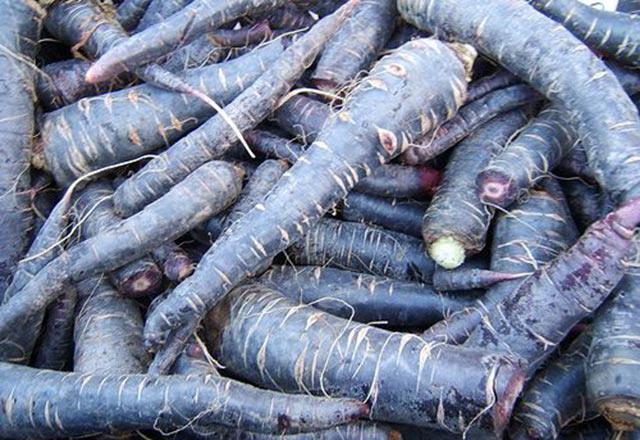 Diyetisyen ve Beslenme Uzman Dr. Ender Sara, milli ieceklerden biri haline gelen algam suyunun hem kanserden koruduunu hem de kalp ve damar sal iin faydal olduunu syledi.    Dr. Ender Sara, Salk Festivali iin geldii Adana'da algam suyunun ifa kayna olduunu belirtti.