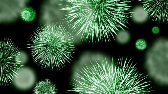 Prof. Dr. Severinov, konuyla ilgili yapt aklamada, "Analizimiz,  ayn antibiyotik diren geni tayan zararl bakterilere ilikin ekolojik ve  epidemiolojik almalara katk salayabilir. Bu alma ayn zamanda, zararl  bakterilerin insanlar zerinde seyahat etmekten ziyade hava yoluyla yayldna  dair de ipucu sunabilir." ifadelerini kulland.