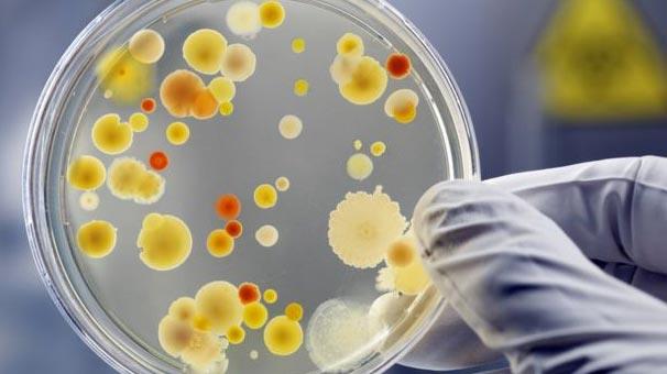 New Jersey'deki Rutgers niversitesinde Molekler Biyoloji Profesr  Konstantin Severinov liderliinde yaplan aratrma, bakteriler ve antibiyotik  hakknda yeni bilgileri ortaya kard.    Aratrmaya gre bakteriler, herhangi bir insan ya da hayvana bal  kalmadan, hava yoluyla binlerce kilometre uzaa gidebiliyor.