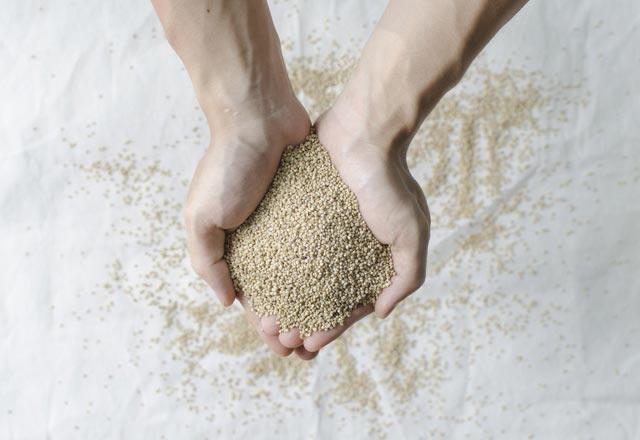 Haftalk alveri iin mutlaka liste hazrlamal alverite bu listenin dna kmamalyz. Ayrca sebze ve meyve ihtiyacmz semt pazarndan haftalk olarak yapmamz da ekonomik beslenmemize byk katk salayacaktr. Peki diyet listelerinden eksik olmayan kinoa, avokado, somon yerine ne tketebiliriz?