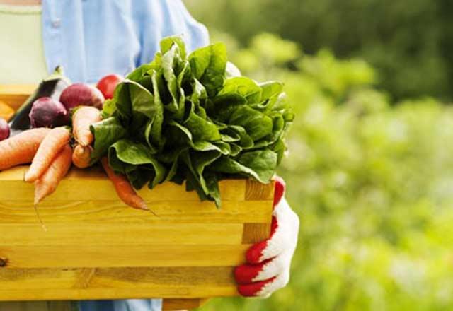 -Organik gdalar daha fazla besin sunar<br>-Kronik hastalklar riskini hafifletebilir