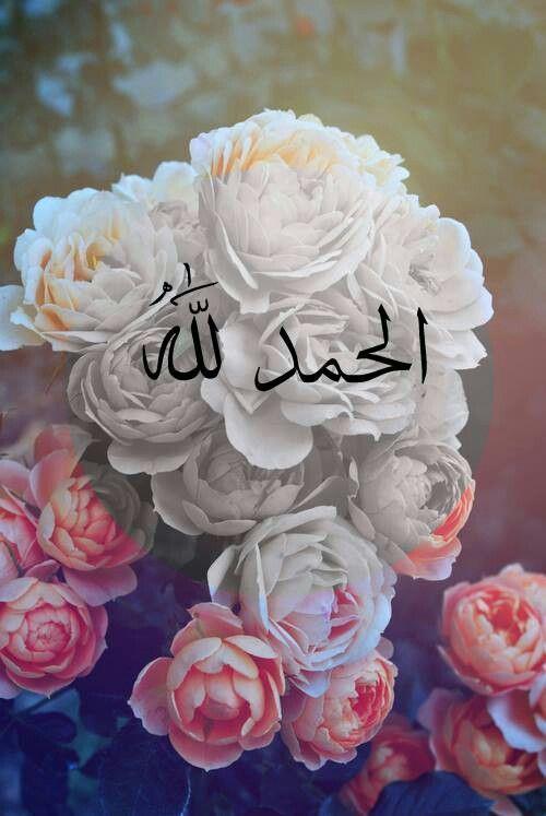 Hacet namaz� 1. rekatta: Subhaneke + Fatiha + 3 �yetel K�rs� Hacet namaz� 2. Rek�tta: Fatiha + Ihl�s + Fel�k + Nas. Hacet namaz� 2. Rek�tin sonunda: Ettehiyy�t� +salli +barik Hacet namaz� 3. Rek�tta: Subhaneke + Fatiha + Ihl�s + Fel�k + Nas. Hacet namaz� 4. Rek�tta: Fatiha + Ihl�s + Fel�k + Nas. Rek�tin sonunda: Ettehiyy�t� + Allah�mme salli + Allah�mme b�rik +Rabben� dualar� okunur.