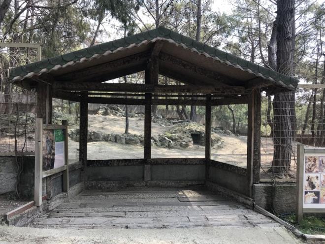 Marmaris'ten Antalya'ya tatile gelen Enes nvanl ise hayvanat bahesini beendiini belirterek, "Kurdun katn duyunca ok ardk" diye konutu.