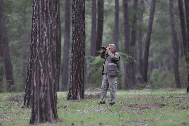 Hayvanat bahesini ziyaret eden Kadir Tekdemir, kurdun katn haberlerden duyduklarn syledi.
