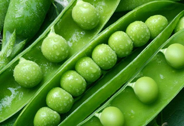 Yeil bezelye<br>    Yeil bezelye grnd kadar basit deildir ve genellikle sahtedir. Sahte bezelye, soya fasulyesi, kar bezelye, renklendiriciler ve sodyum metabislfit kombinasyonudur. Sodyum metabislfit, birok lkede kanser ve 'metabolizma' sorunlarnn gelimesi riskinin yksek olmas nedeniyle yasaktr.  <br>  Sahte bezelye satn almaktan nasl kanlr?<br>    Bildiiniz reticilerden yeil bezelye aln. Renk gerek olamayacak kadar yeilse, rnde bir miktar renklendirici olduu anlamna gelir.