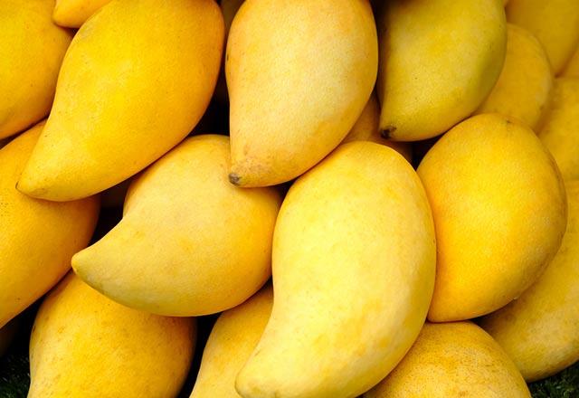 Mango, vitamin ve mineral oran yksek olan tatl ve lezzetli bir meyvedir. Ayrca enzim asndan zengindir.