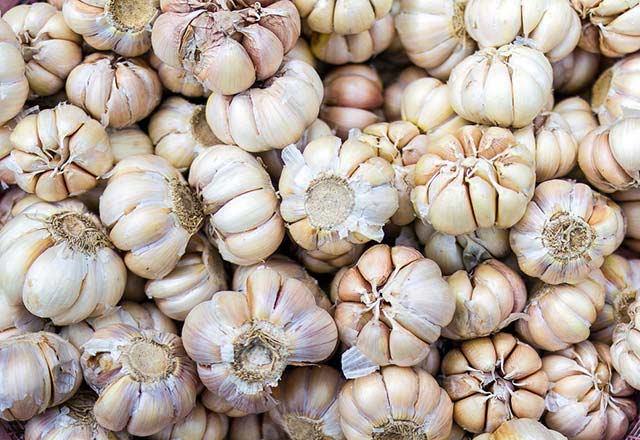 Daily Mail&#8217;de yer alan bir haberde hafzas zayf olan yal insanlarn daha az eitte barsak mikrobiyomuna sahip olduklarn, sarmsak tketerek bu mikrobiyomlarn oaltlabildii akland.