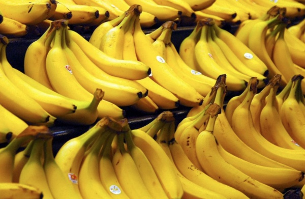 Muz olduka besleyici bir meyvedir ve salkldr. eker oran biraz yksektir ancak kas yapmnda olduka destekleyicidir.