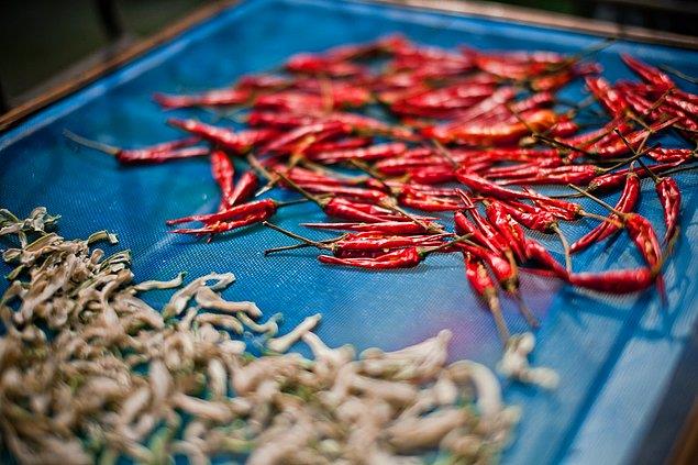 Ac Biber: Ac biber mikrodalgada yanar fakat asl tehlike bu deil. Frnn kapan atnzda krmz biber buhar suratnz yakar.