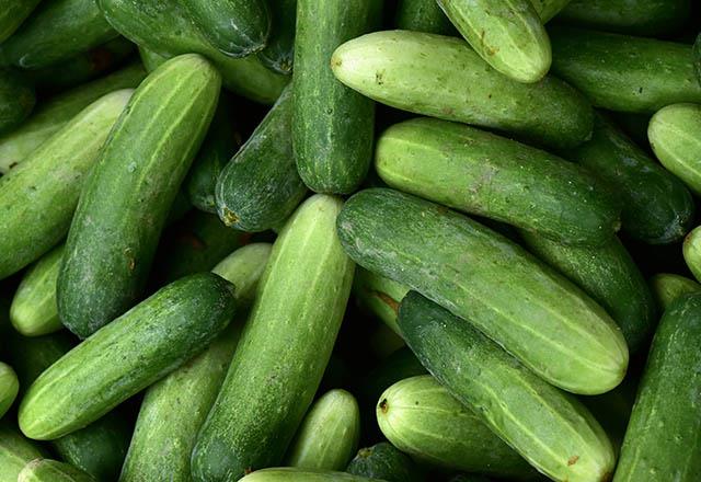 %95&#8217;i sudan oluan salatalk yalnzca 16 kaloriye sahiptir. Taze salataln sala yararlar ve zayflatc etkisi artk kantlanm bir gerektir. Salataln ou besin deeri, zellikle de gzleriniz iin faydal olan beta karoten kabuunda yer alr. Bu nedenle soymadan yemeye zen gsterin.