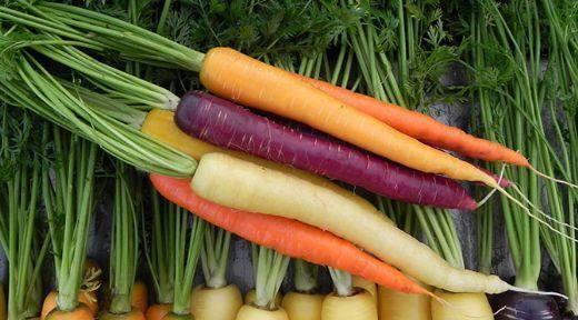 HAVU / BA ARISI  <br>  Yaplan aratrmalarda unutkanla en iyi gelen besinin havu olduu tespit edilmitir. Modern ada artan unutkanlk ve alzheimer risklerini azaltan havu ayn zamanda kronik ba arlarna da iyi gelir. Uzmanlar haftada en az iki defa havu suyu tketilmesini nerir.