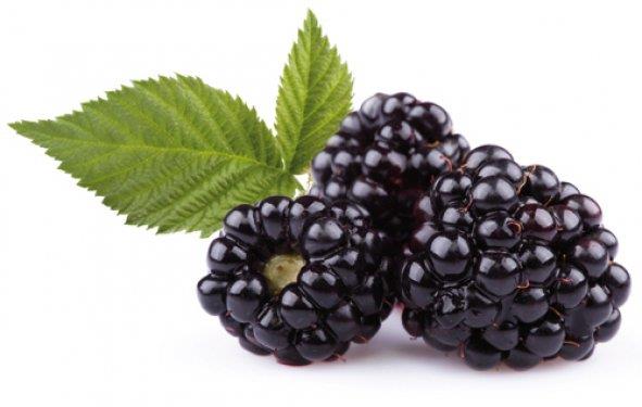 B���rtlen / Yar�m kase = 31 kalori    Rengini antokyanin isimli fel� ve kanser riskini azaltan antioksidandan al�r. �z� akci�er kanserinin ilerlemesini durdurmaya yard�mc� olur. Antik Yunan’da b���rtlen i�in ‘gout-berries’ denirdi ve gut (damla hastal���) hastal���n�n tedavisinde kullan�l�rd�.