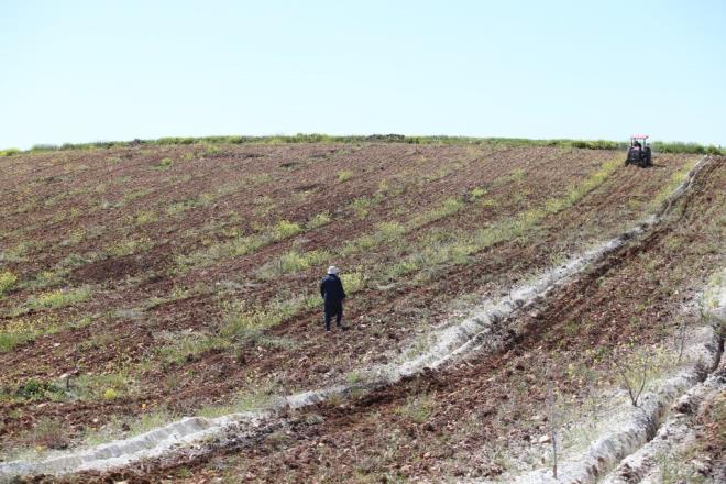 �u an b�lgede ilk defa farkl� bir sistem uyguluyoruz. Kayal�k olan arazilerde yer alt� damlama sulama sistemiyle ilgili bir �al��ma y�r�t�yorum. Do�rusunu isterseniz bu t�r bir sistem tutturulabilirse pek �ok �ift�i i�in daha verimli daha rahat bir kazan� ve mahsul elde etme imkan� sa�lanm�� olur."