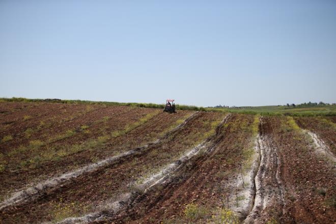 Halfeti il�esinin mikro klima �zelli�ine sahip oldu�unu ve her ne kadar karasal bir iklimi olsa da b�lgede k�smen Akdeniz iklimi g�r�ld���n� anlatan Ba�l�, T�rkiye'nin en k�ymetli lezzetlerinden Antep f�st���n�n en �ok burada yeti�ti�ini belirtti.