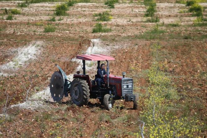 Uzun y�llar Dicle �niversitesinde g�rev yapan ve yurt d���nda da �nemli �al��malara imza atan Ba�l�, b�lgenin sorunlar�yla ilgili de �e�itli eserler kaleme ald�. Prof. Dr. Mazhar Ba�l�, 2017 y�l�nda Nev�ehir Hac� Bekta� Veli �niversitesine rekt�r olarak atand�.