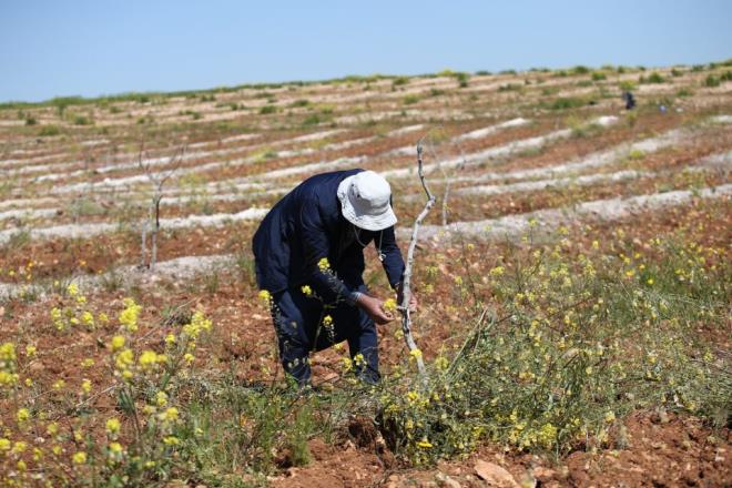 Kendisi olmad���nda tarlayla karde�lerinin ilgilendi�ini ancak f�rsat bulduk�a k�y�ne gelerek �al��t���n� aktaran Ba�l�, �unlar� kaydetti:<br>     "�zinlerin b�y�k bir k�sm�n� burada ge�iriyorum. Elbette ba�ka birine de bakt�rmak m�mk�n ama insan�n kendi eliyle bah�esine, tarlas�na bakmas�n�n keyfi bir ba�ka oluyor.