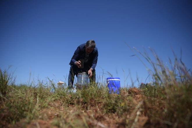 Prof. Dr. Mazhar Ba�l�, �al��t��� tarlada AA muhabirine yapt��� a��klamada, toprakla ilgilenmeyi �ok sevdi�ini ve burada farkl� bir huzur buldu�unu ifade etti.