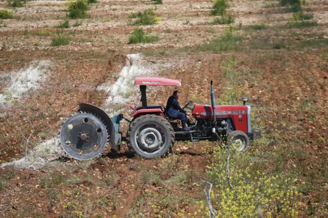 Zaten annem, babam ve karde�lerim burada. Biz on karde�iz ve mutlu bir aileyiz. F�rsat bulduk�a geliyorum, gelemedi�im zamanlarda ailem ilgileniyor ama mahsul�n, hasad�n�n, ila�lamas�n�n, bak�m�n�n prosed�rlerini yak�ndan bilir ve takip ederim.