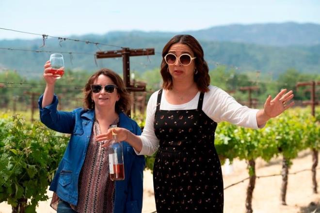 Wine Country (10/5/2019)<br>  Eski dost olan bir grup kadn, bir arkadalarnn 50. ya gnn kutlamak iin Napa'da bir hafta sonu geirmeye gider ama gemite yaananlar su yzne kar.