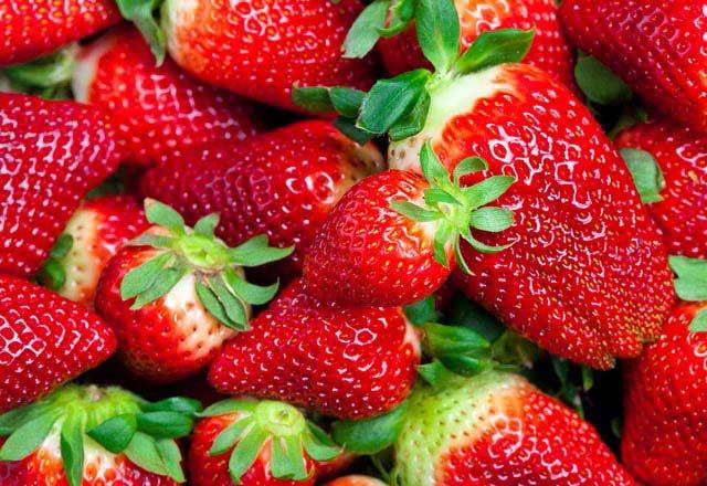 ilek   <br>    ilek, iinde krmz rengini veren antosiyanin maddesi sayesinde yksek antioksidan zellik gsteriyor. Vcut direncinin artmasna destek olup bahar yorgunluuyla baa kmanza yardmc olan ilek, su ve lif asndan da olduka zengin bir besin. Bir porsiyon, yani 10-12 adet ilekle gnlk C vitamini ihtiyacnz da fazlasyla karlayabilirsiniz.