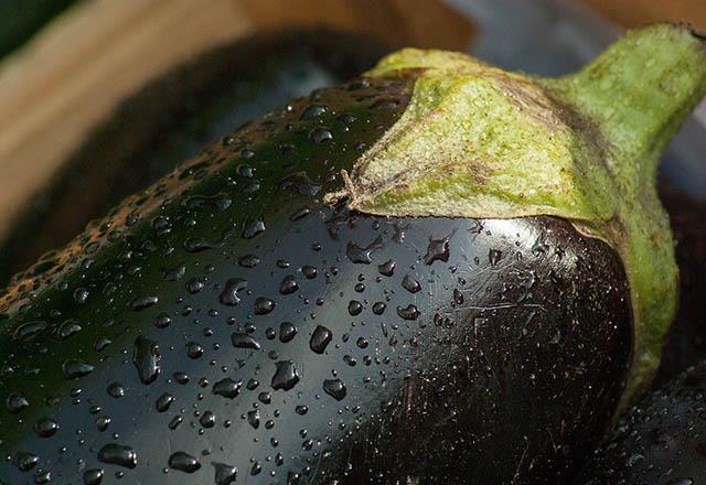 Patlcan saponin diye adlandrlan, ya emilimini ok ciddi miktarda azaltan bir madde ierir. Patlcan suyu bir yandan idrar sktrc grevi grp bbrek ilevlerini arttrrken bir yandan da vcudu arndrr. Ayrca ekirdeklerindeki lif sayesinde, barsak fonksiyonlarn da gelitirip kabzla ve huzursuz barsak sendromuna iyi gelir.