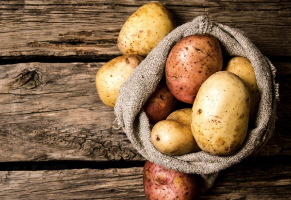 Bu nedenle patatesleri gne altnda ok uzun sre brakmamaya, yeillenme grdnzde tketmemeye, pazarda, markette alveri yaparken aldnz patatesleri tek tek kontrol edip yeillenmi olanlar asla satn almamaya dikkat etmelisiniz.