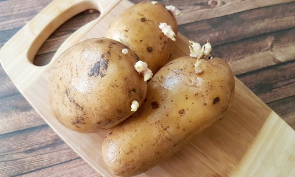 Solanin zehirlenmelerinin belirtileri mide bulants, kusma, ishal, mide kramplar, boaz yanmas, ba ars ve ba dnmesidir. Ciddi zehirlenmeler, lmle sonulanabilir.