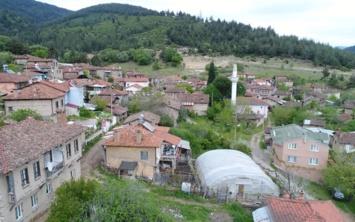 BURSA Orhaneli ilesi Deliballlar ky sra d bir 'talihsizlikle' gndemde . Herey 10 yl nce kye gelen niversite rencileri ile balad. Evlerin fotoraflarn eken renciler, kyn yok olu srecini balatt.