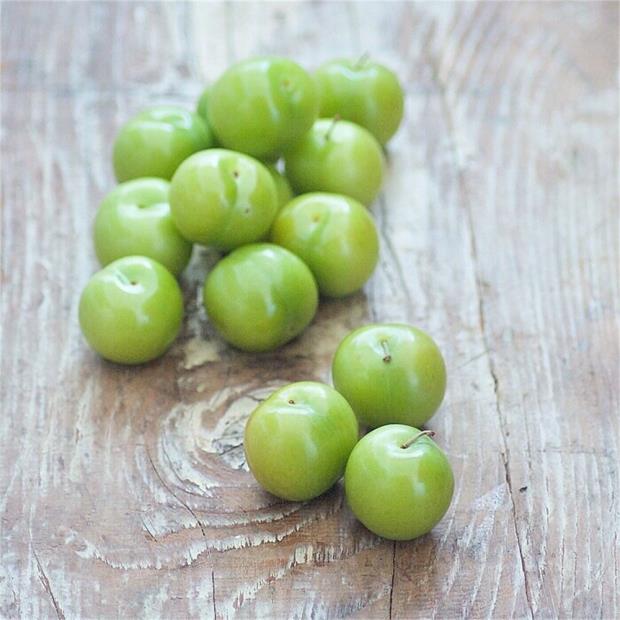 ERK YEDKTEN SONRA DLER FIRALARSANIZ...    Uzmanlar erik yedikten sonra dilerin kesinlikle fralanmasn tavsiye etmediklerini vurguluyor. Nedeni ise erik ierdii asidik maddeler di yzeyine yaptnda ya da arasna girdiinde orada bulunan enfeksiyonu nleyerek dilerin beyazlamasn destekler. Ancak erik yedikten hemen sonra diler fralandnda bu asidik maddeler di yzeyini zayflatarak sararmasna ve minenin erken rmesine neden olur.