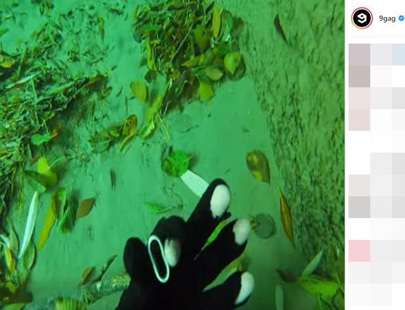 Pek de yle deilmi iin asl!