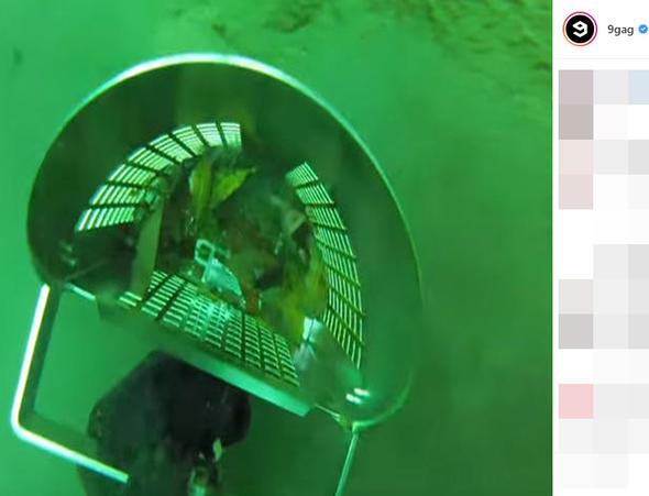 Bu da dalgn bulduu 'ey'leri koyduu minik sepeti...