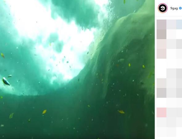 Ve dalg elaleye dalveriyor! Ama onu ok ilgin bir ey bekliyor...