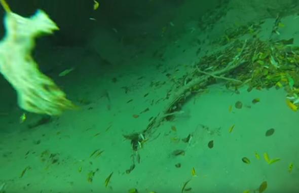 Amerikal dalg, Arizona'daki bir elaleye dal yaparak elaleye den ve kimisi kymetli eyalar grme ansna sahip oldu. Ancak elaleden kan bir ey vard ki dalg dondu kald!