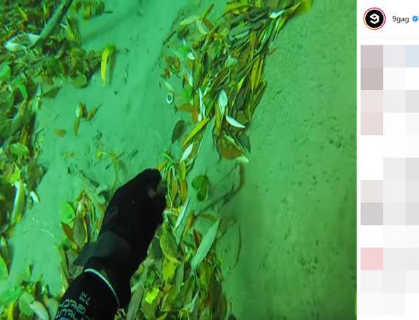 Uzaktan yze benziyor ama...