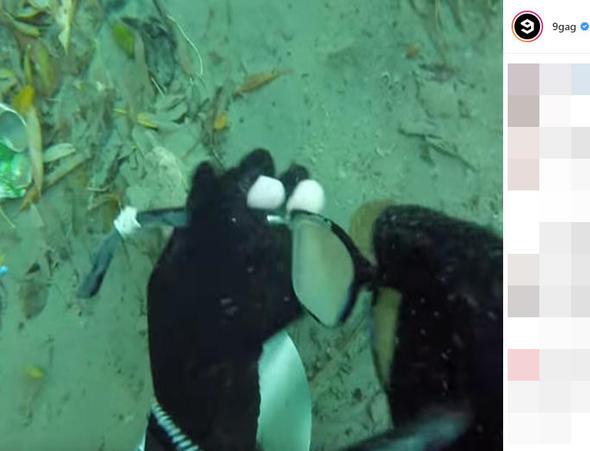 Bir gzlk daha... Gzlkler burada konsey kurmu deyim yerindeyse!