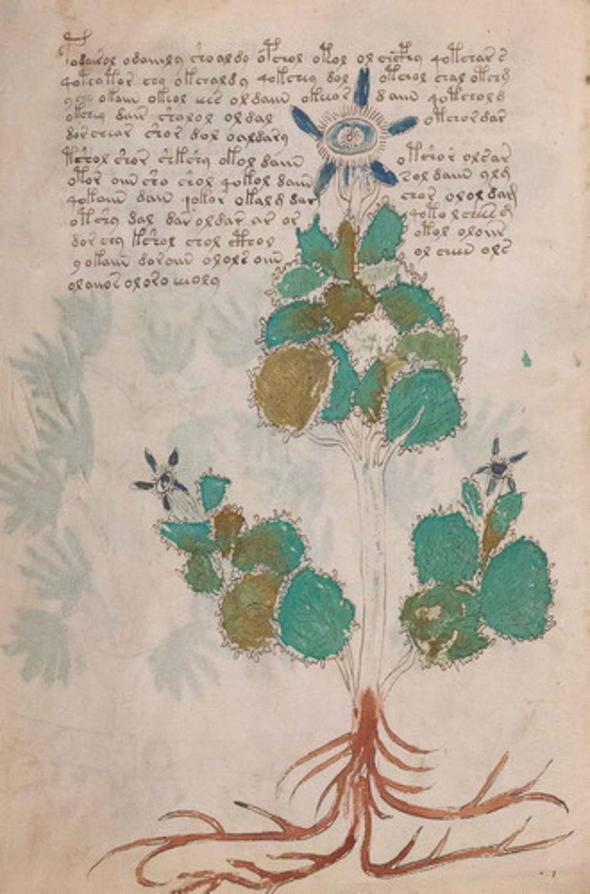 Cheshire'n almas, Voynich El Yazmas'nda cinsellik, kadnlarn dnce yaps ve ebeveyn olma gibi konularn ilendiini ortaya koydu.Buna gre Voynich El Yazmas, dnemin Katolik ve Roman pagan inanlar dorultusunda kaleme alnan ve 15'inci yzyla ait olan bir kitap.