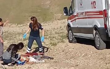 ELAZI'da emeden su doldurduktan sonra evine dnerken sokakta babo kpeklerin saldrsna urayarak ar yaralanan iek Bozta (82), kaldrld hastanede hayatn kaybetti.