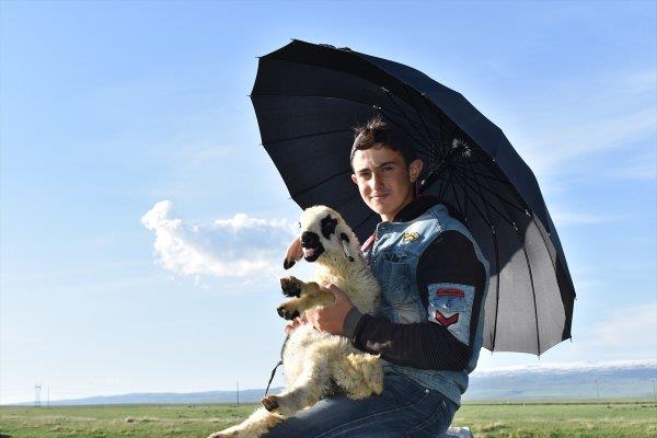 SABAHIN LK IIKLARIYLA YOLA KOYULUYORLAR  Kars'n Arpaay ilesine bal Kuyucuk kynde de sahurlarn yapan obanlar, sabahn ilk klaryla hayvanlarn nne katp meralarda gnein altnda kilometrelerce yol yryor.    Hayvanlarn otlarn en fazla yeerdii meralara gtrp karnlarn doyurmaya alan obanlardan oru tutanlar, zor olsa da iftar vaktine kadar meralarda hayvanlar ile saatlerce dolayor.