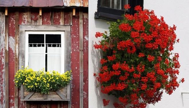 EKLERN ANLAMI    nsanlar sokakta yrken etraflarna bakarlar bir evin nnde sar iekler varsa o evde hasta var demektir. Bu yzden insanlar geerken sessiz olur.