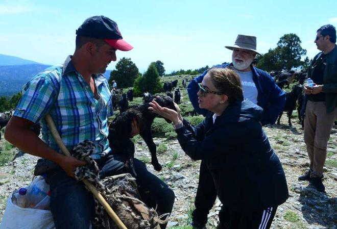 Karake�ili Y�r�klerinin Ege'den Do�u Anadolu'ya uzanan co�rafyan�n da�l�k alanlar�nda hayvanc�l�k yaparak ge�imlerini sa�lad���n� vurgulayan Kocab�y�k, �unlar� s�yledi: