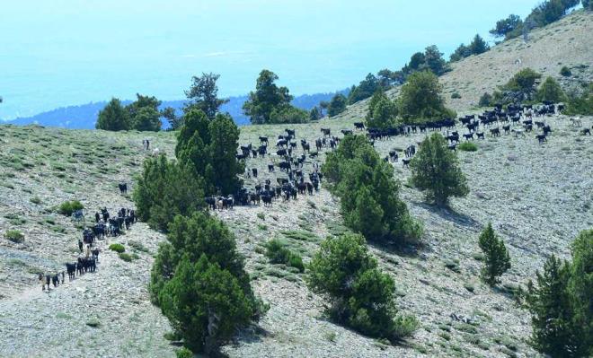 Yolculuk s�ras�nda Y�r�k kad�nlarla bol bol sohbet eden Kocab�y�k, �ocuklar�n� mutlaka okutmalar� konusunda tavsiyelerde bulundu.